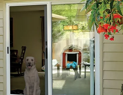 Protect your screens from pet damage